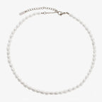 Noémie | Zarter Choker Farbexplosion