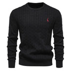 Rogier | Eleganter Pullover für Herren