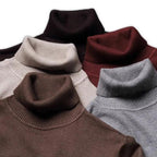 Franck | Eleganter Rollkragenpullover