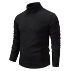 Franck | Eleganter Rollkragenpullover