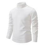 Franck | Eleganter Rollkragenpullover